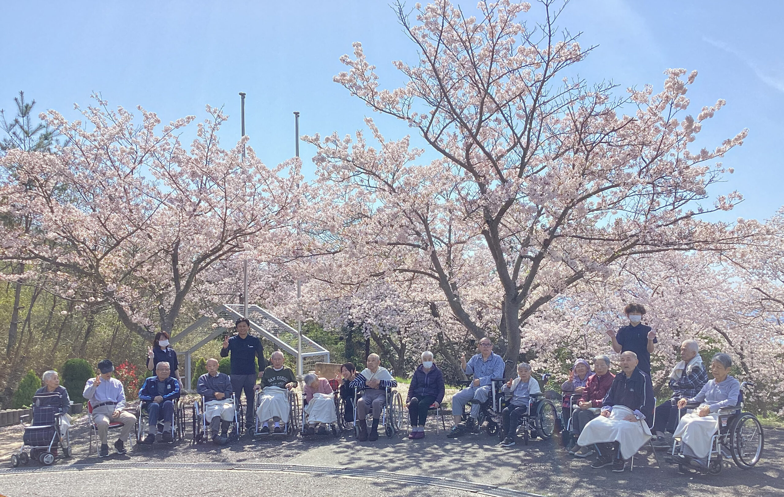 錦海荘の桜の写真集